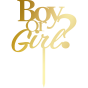 Topper na tort Boy or Girl 2 .png